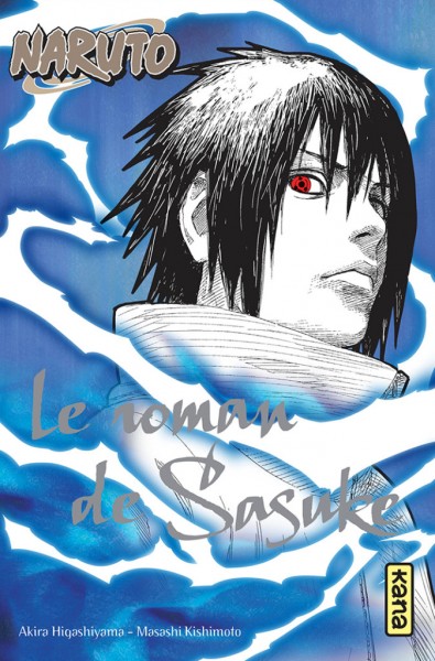 Naruto Shippuden : La Flamme de la Volonté » – Neko Den – Le portail  Japanime & Manga